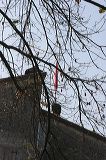 img_4369